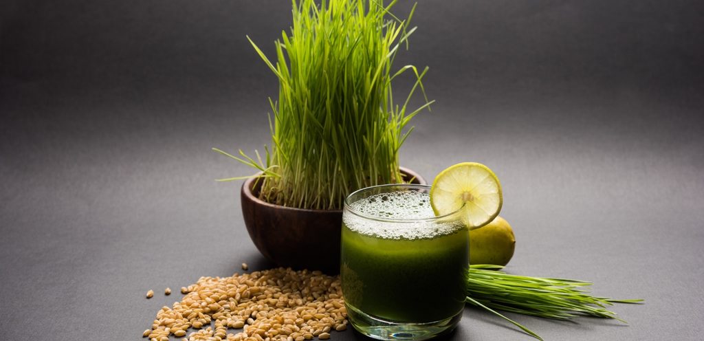 مشروب عشبة القمح