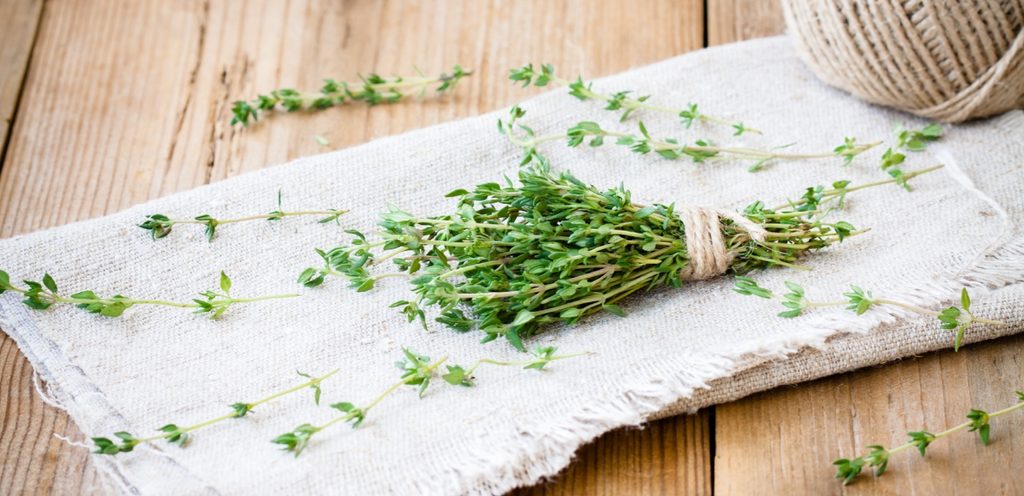 الزعتر الأخضر الطازج