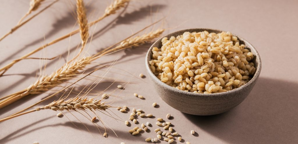 يمكن سلق الشعير والاستفادة من فوائده