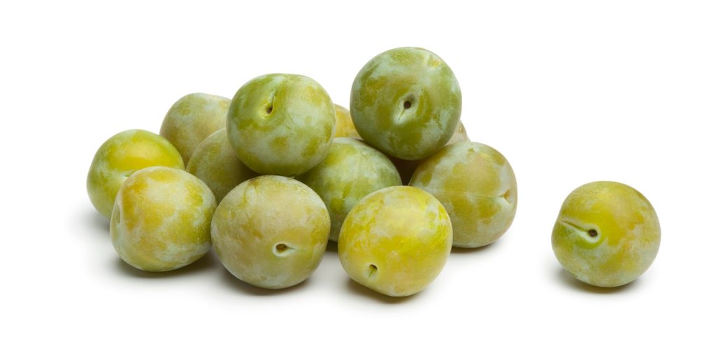 الكرز في مرحلة النضوج