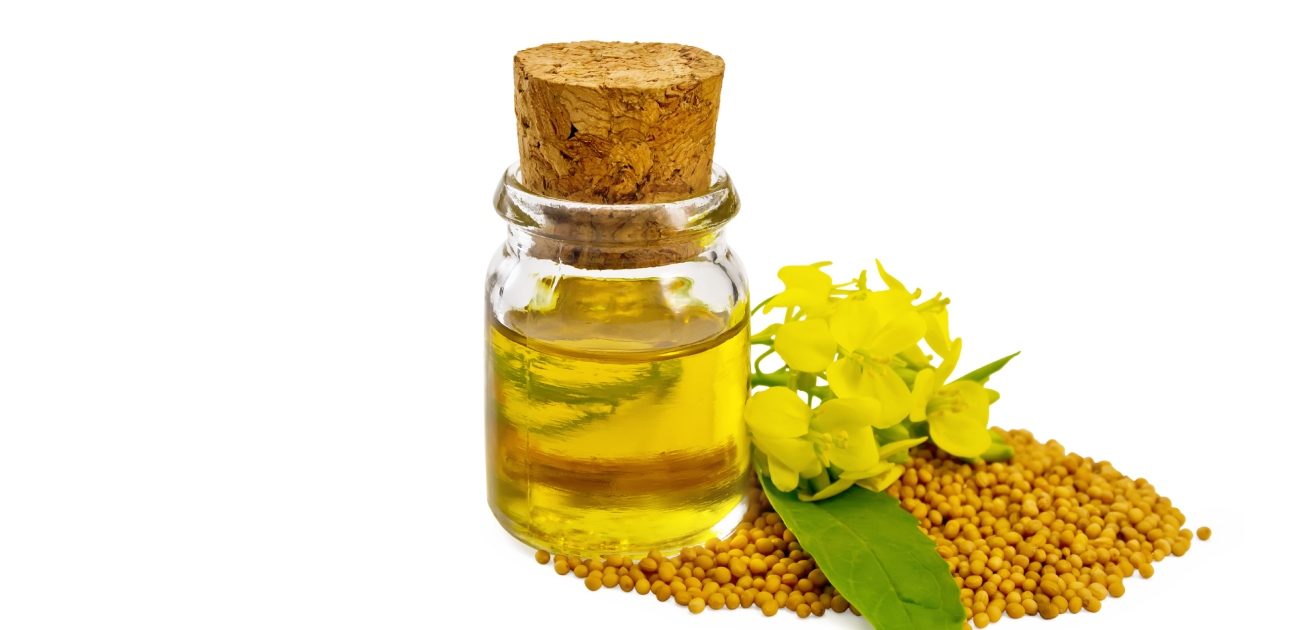 زيت الخردل الطبيعي