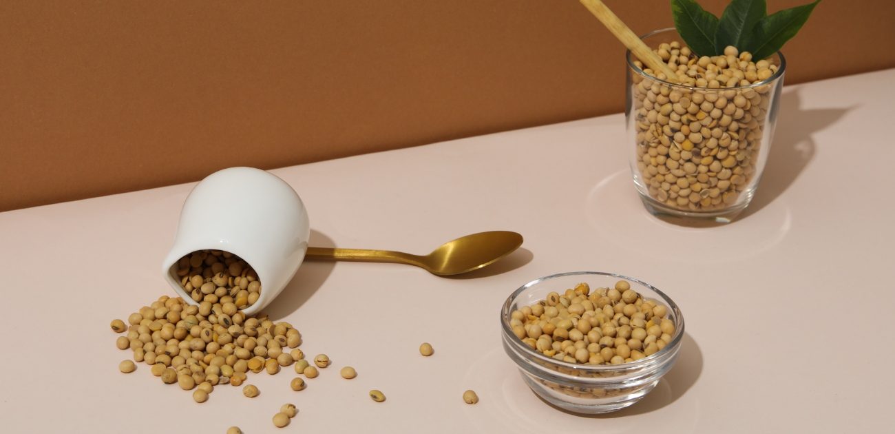 حبوب الصويا العادية