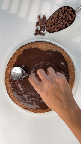 تقديم الكيك