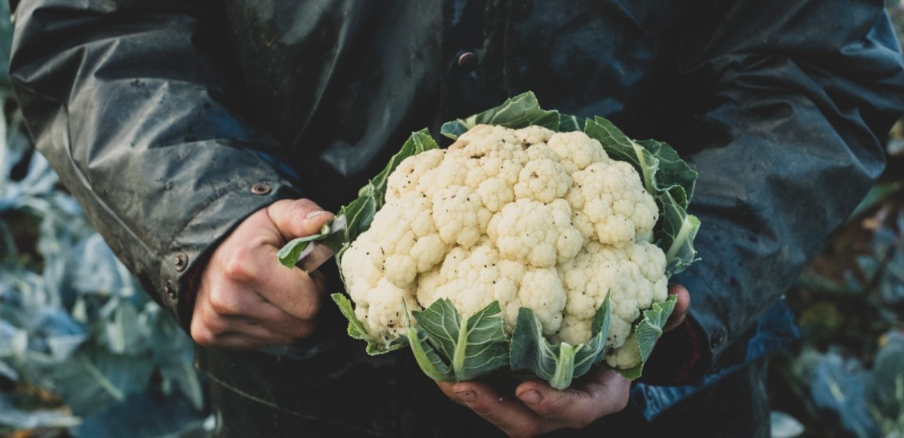 من الفاكهة اللذيذة إلى الخضار الرائعة.. إليكم أفضل المنتجات الغذائية لشهر يوليو!