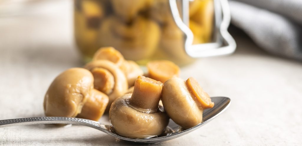 الفطر المعلّب الذي يباع في الأسواق