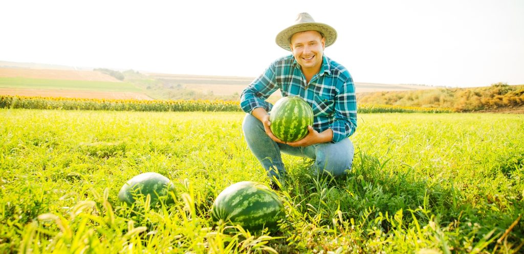 موسم الذهب الأحمر