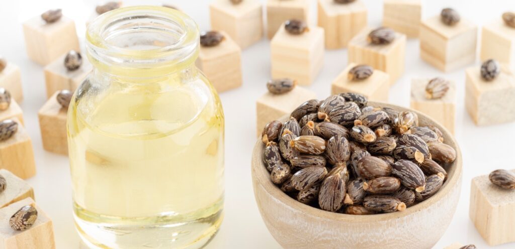 البذور التي يستخرج منها زيت الخروع