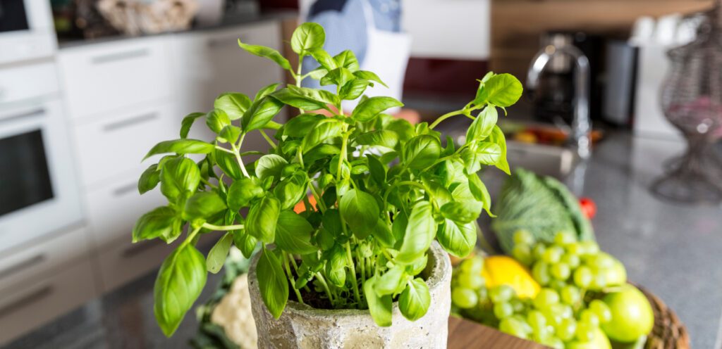 لتحضير أشهى الوصفات