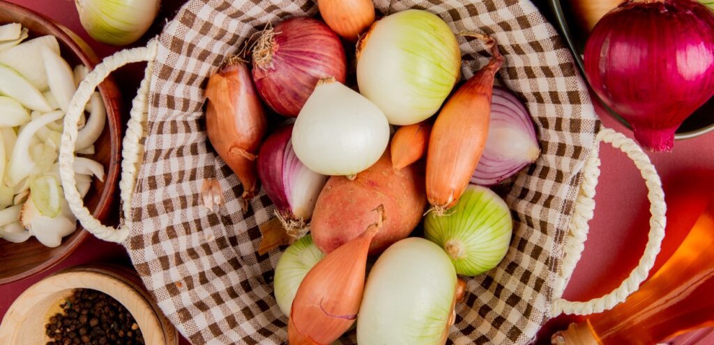 أنواع مختلفة من البصل