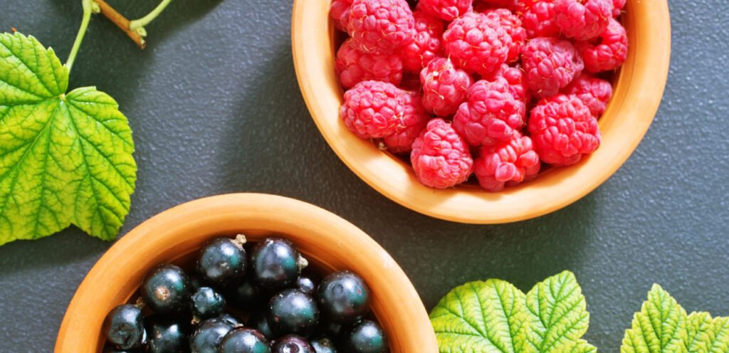 صحي بكافة أنواعه