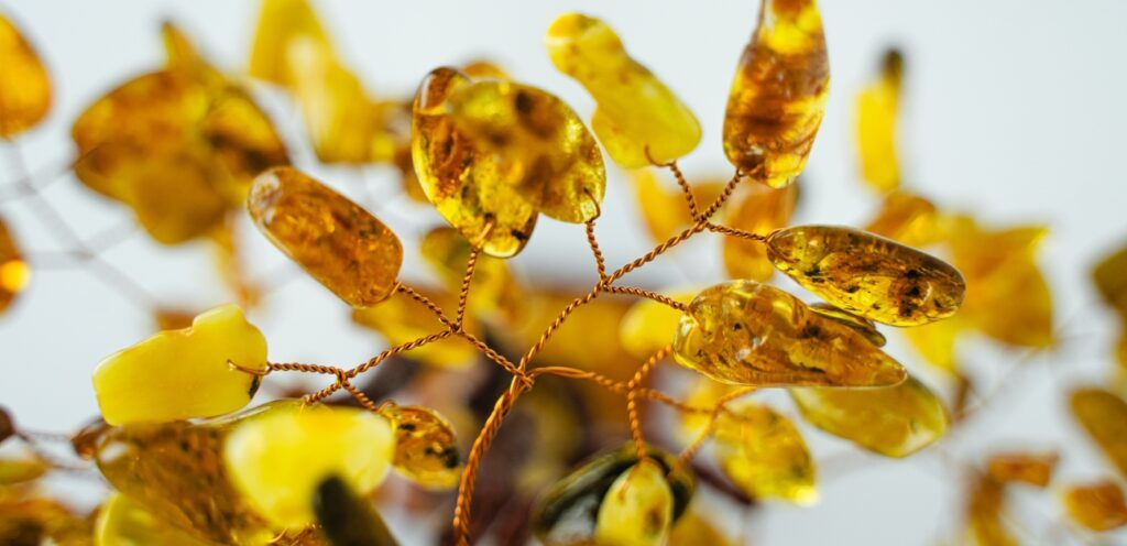 تجربتي مع العنبر للتسمين وكيفية استخدامه وأهم فوائده!