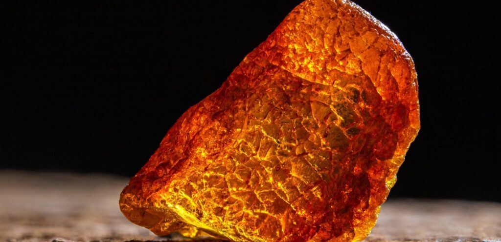 تجربتي مع العنبر للتسمين وكيفية استخدامه وأهم فوائده!