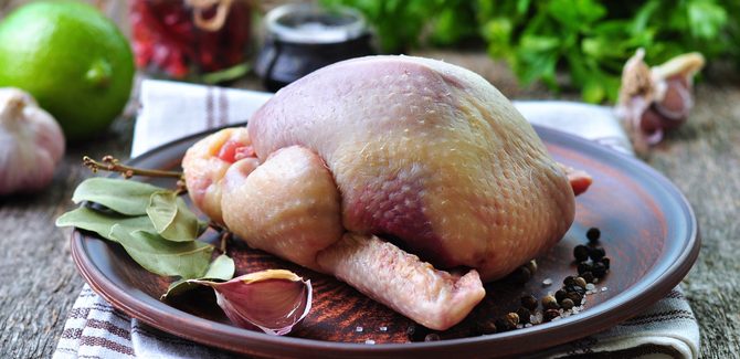 نتبل الحمام