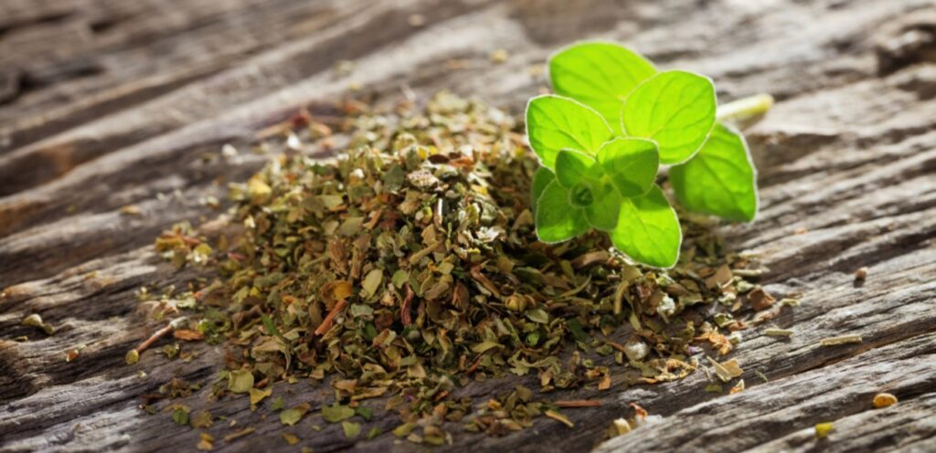 هل الأوريجانو هو البردقوش؟ ما الفرق بين كلا النوعين