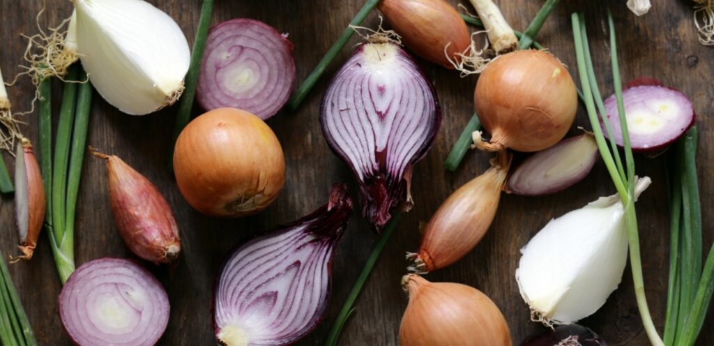 تنظيم الجهاز المناعي من أهم فوائد اكل البصل!