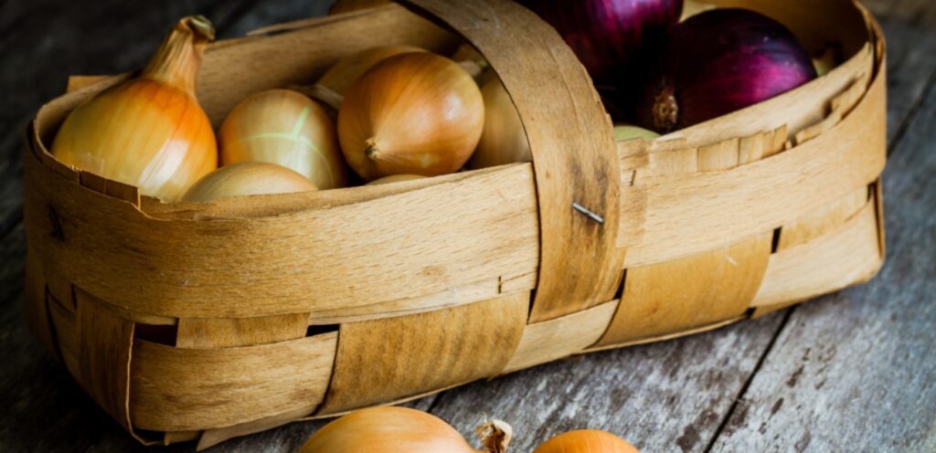 تنظيم الجهاز المناعي من أهم فوائد اكل البصل!