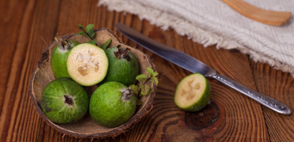 10 فوائد رائعة قد لا تعلمونها عن ورق الجوافة المجفف!