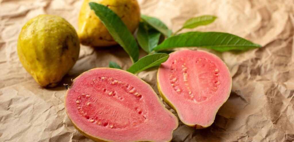 10 فوائد رائعة قد لا تعلمونها عن ورق الجوافة المجفف!