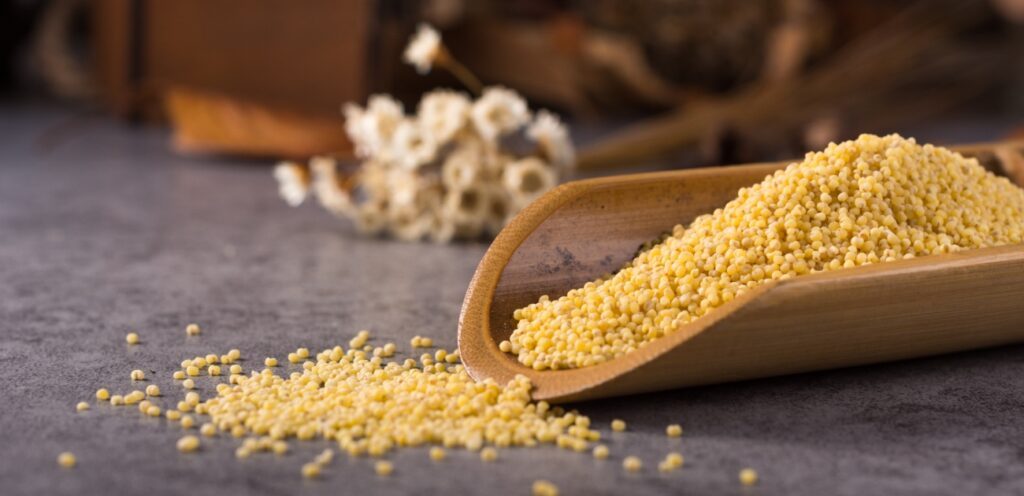 حبوب الدخن الصحية