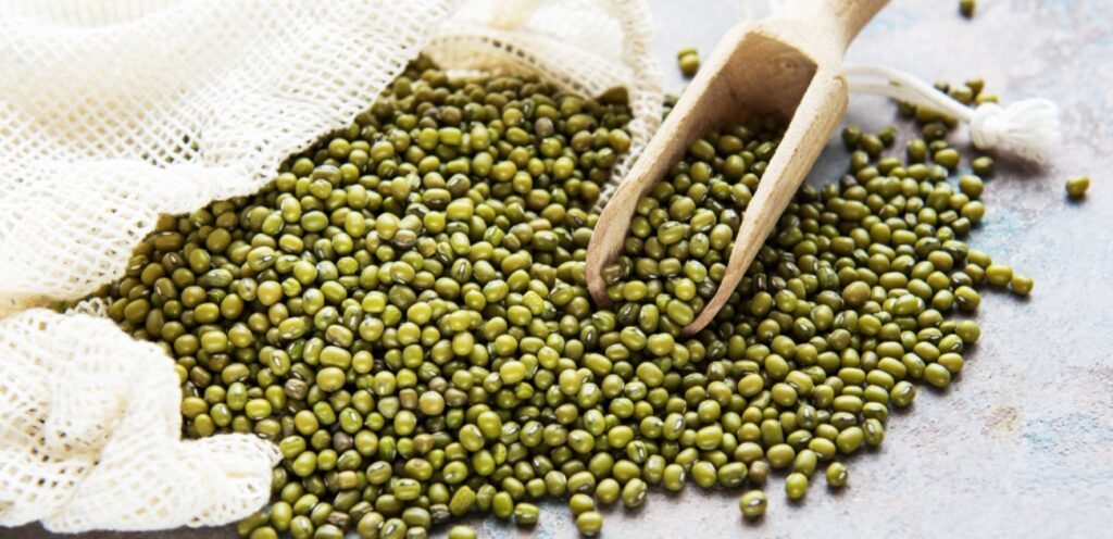 حبوب الماش: مصدر غذائي غني بالعناصر الغذائية !