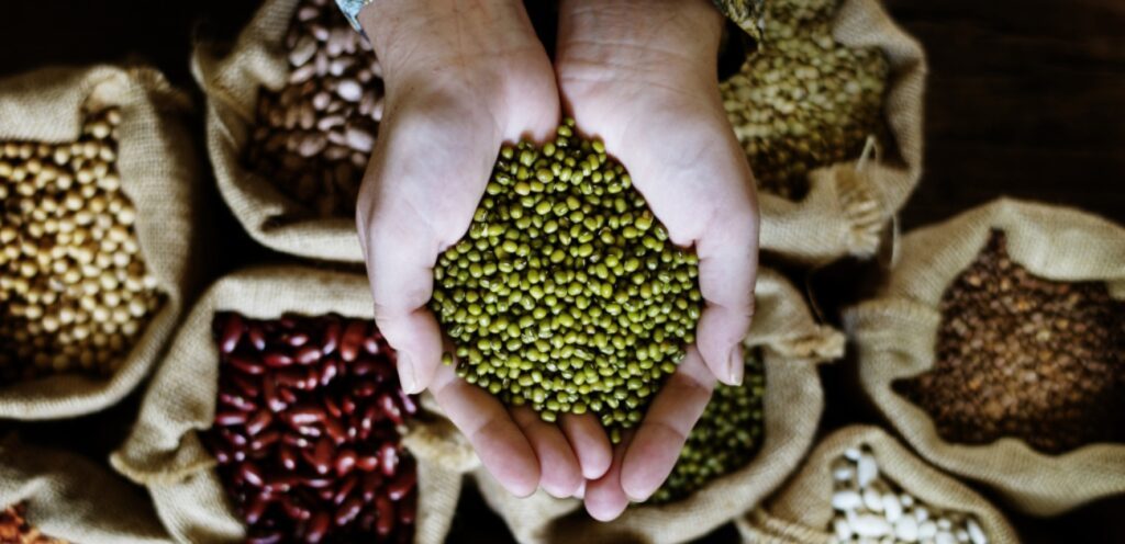 حبوب الماش: مصدر غذائي غني بالعناصر الغذائية !