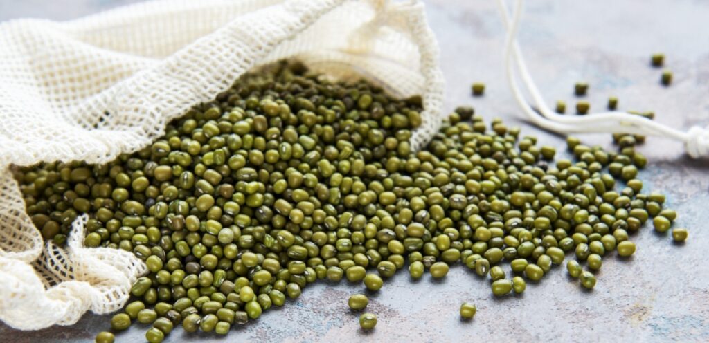 حبوب الماش: مصدر غذائي غني بالعناصر الغذائية !