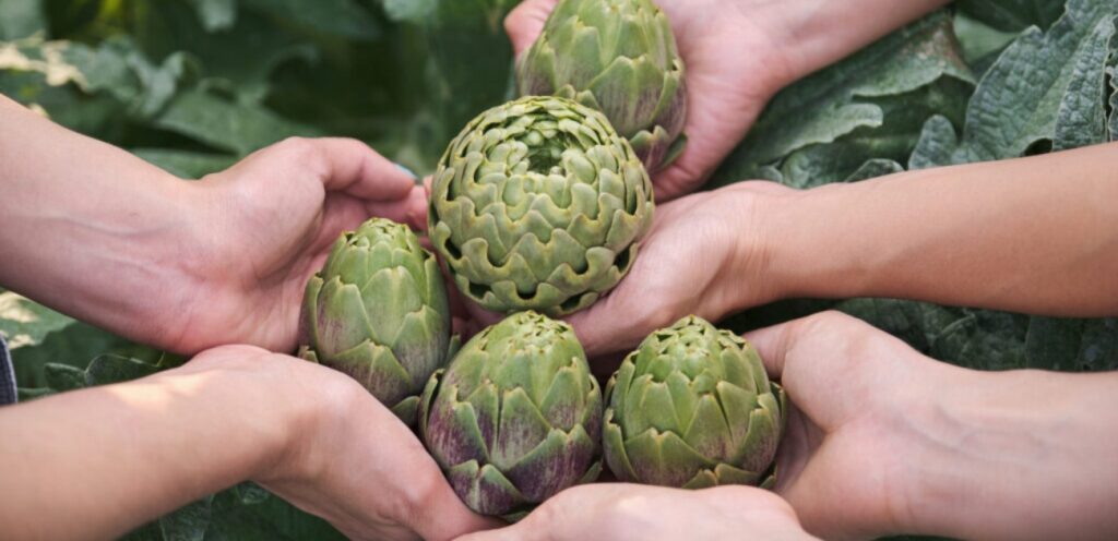 كيف يؤكل الخرشوف؟ طرق عديدة للاستمتاع بكل قضمة