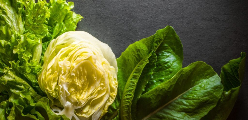 6 نصائح مهمة للحفاظ على الخضروات الورقية الخضراء طازجة في الثلاجة!
