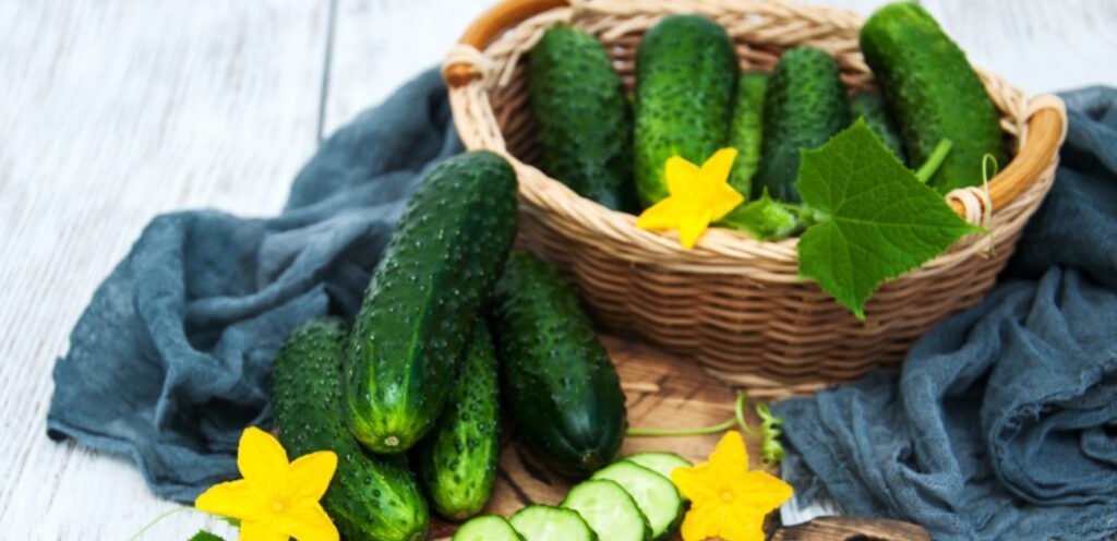 هل الخيار يسبب غازات؟ تعرفوا على الإجابة