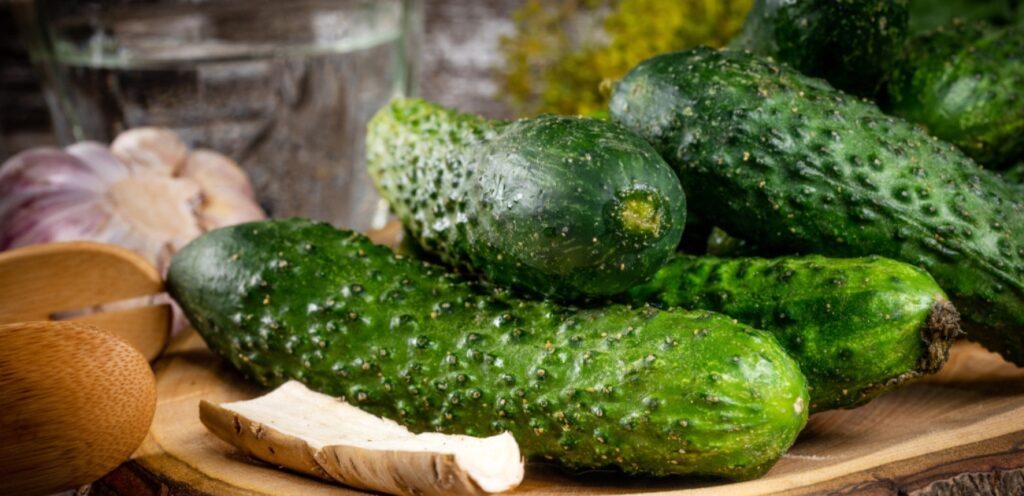 هل الخيار يسبب غازات؟ تعرفوا على الإجابة