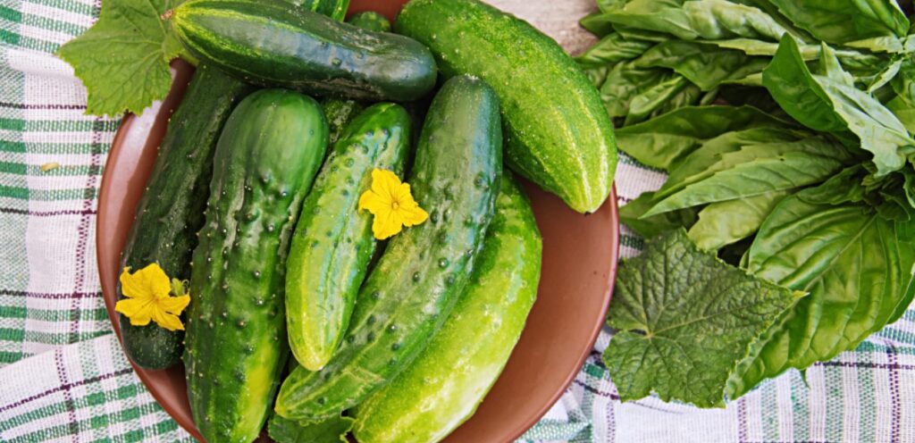 هل يفيد تناول الخيار في الليل؟ إليكم الإجابة