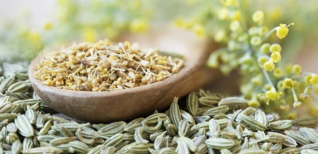 فوائد رائعة لشرب الشمر واليانسون.. من أهمها تحسين الهضم!