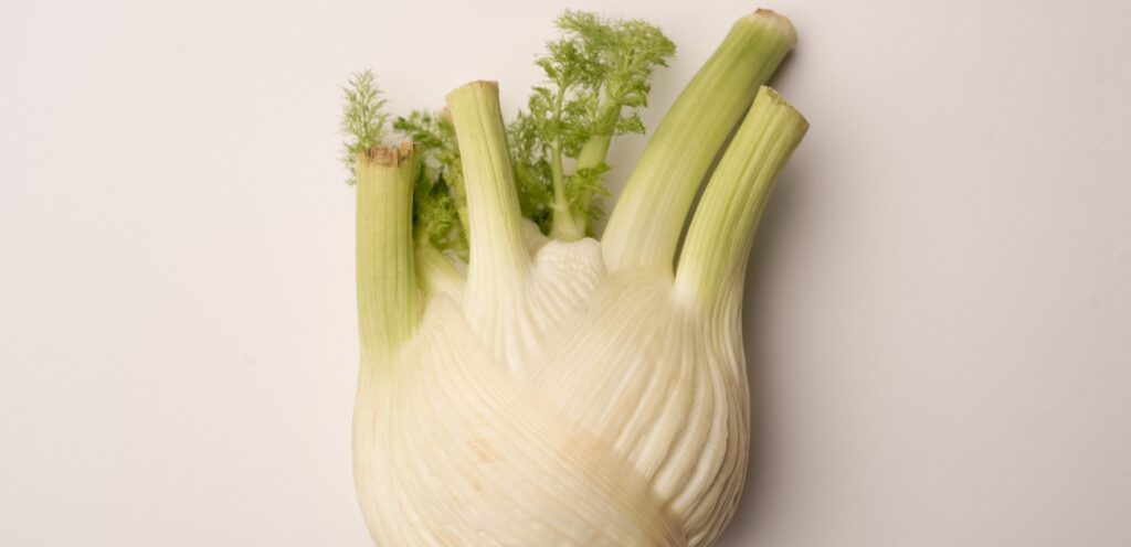 فوائد رائعة لشرب الشمر واليانسون.. من أهمها تحسين الهضم!