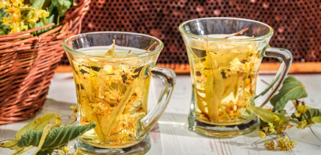 فوائد رائعة لشرب الشمر واليانسون.. من أهمها تحسين الهضم!