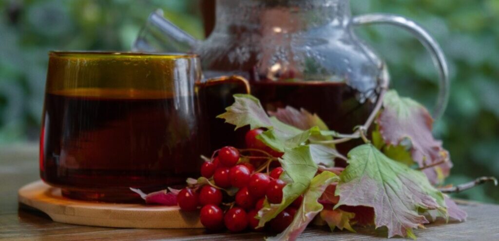 عشبة الزعرور: طريقة استعمالها وأهم منافعها التي قد لا تعلمونها!