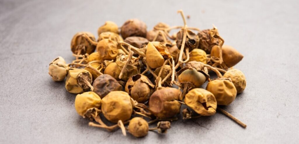 عشبة الزعرور: طريقة استعمالها وأهم منافعها التي قد لا تعلمونها!