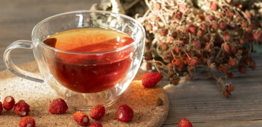 عشبة الزعرور: طريقة استعمالها وأهم منافعها التي قد لا تعلمونها!