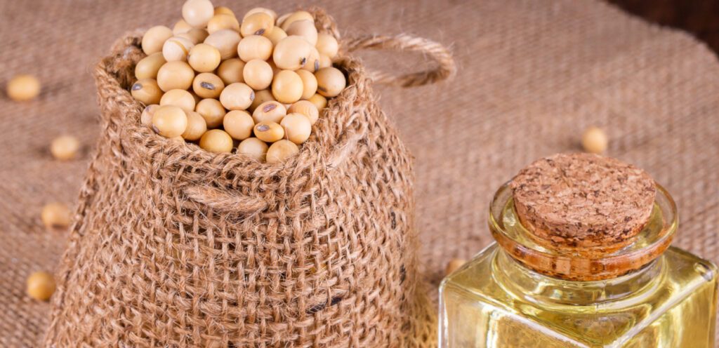 من أشهر أنواع الزيوت