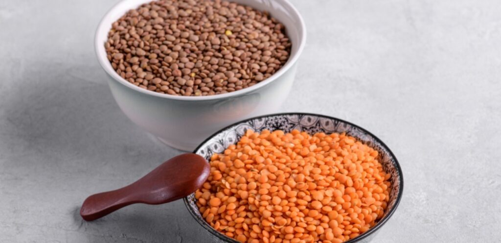 هل العدس من البقوليات؟ تعرفوا على سر هذا الغذاء الرائع