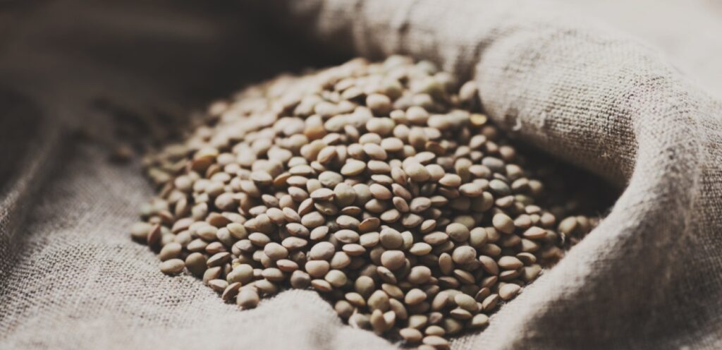 هل العدس من البقوليات؟ تعرفوا على سر هذا الغذاء الرائع