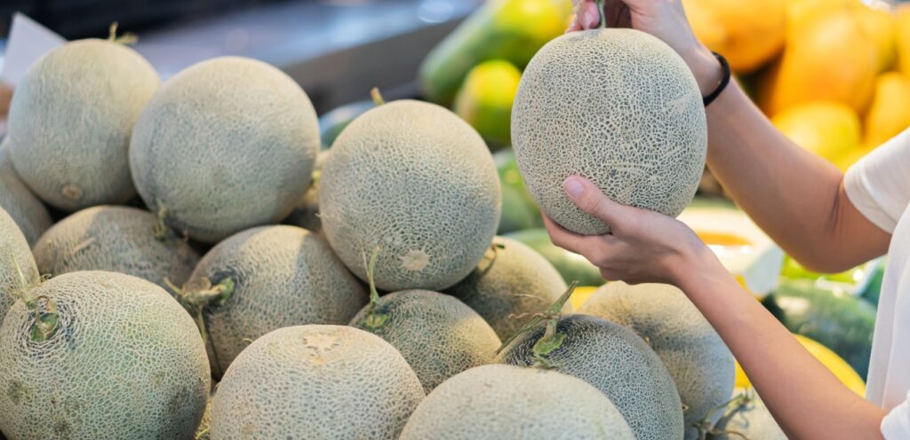 قد يختلف لون الشمام