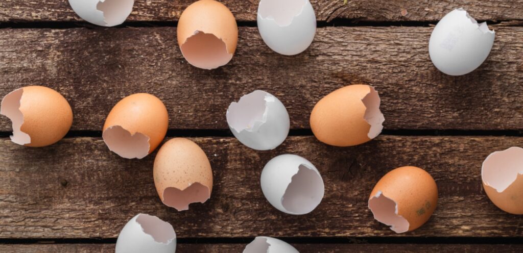 قشور البيض: 5 أسباب مهمة ستدفعكم إلى البدء بتناولها اليوم!