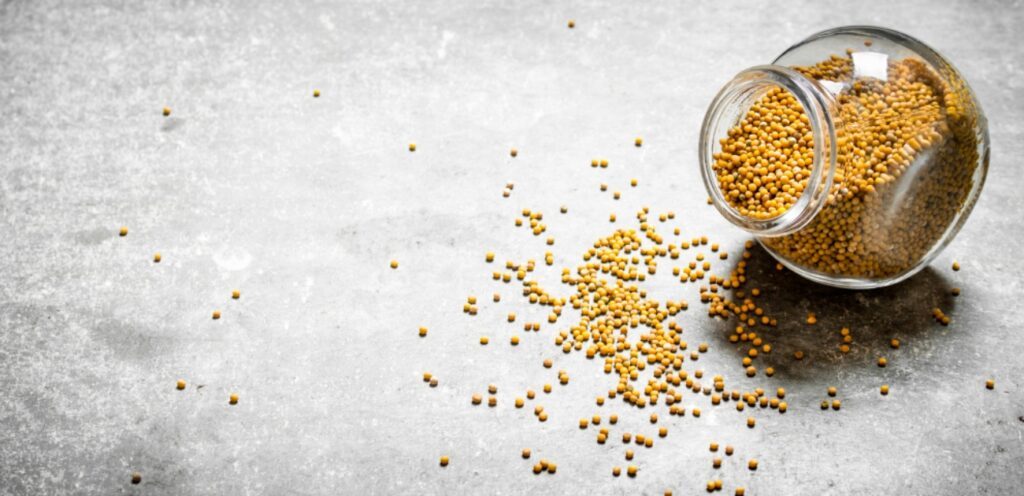 هل ترغبون بخسارة الوزن؟ إليكم كيفية استخدام حبوب الخردل الصفراء