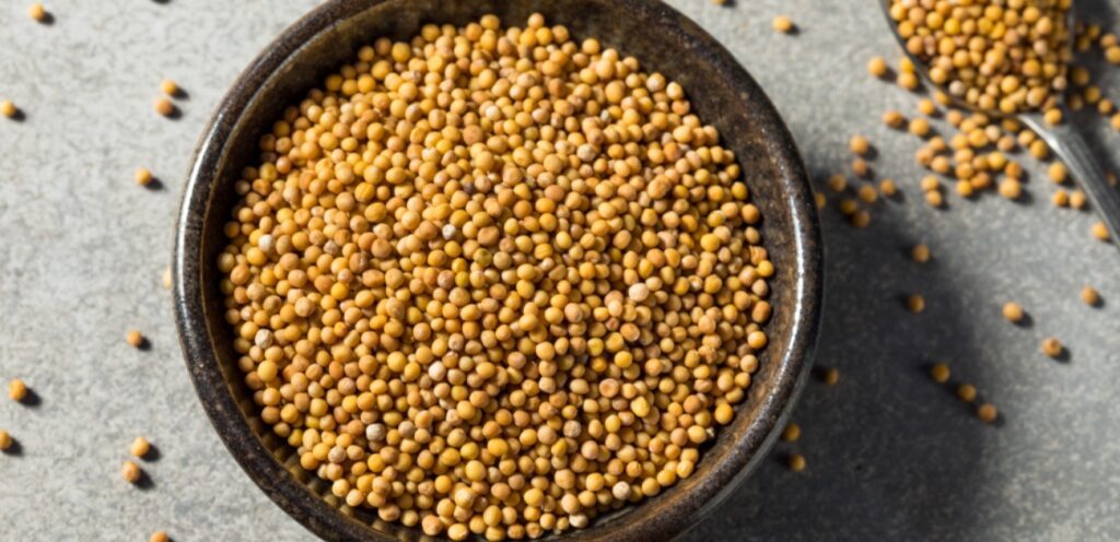 هل ترغبون بخسارة الوزن؟ إليكم كيفية استخدام حبوب الخردل الصفراء