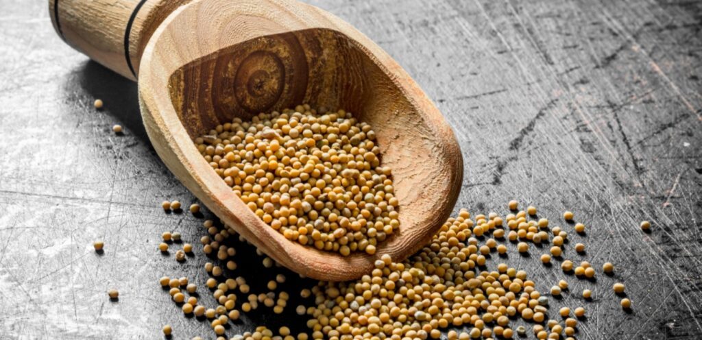 هل ترغبون بخسارة الوزن؟ إليكم كيفية استخدام حبوب الخردل الصفراء