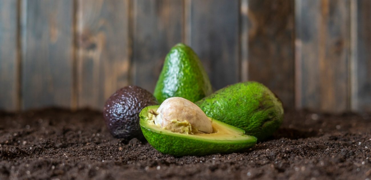 كيف يؤثر تناول بعض الأطعمة الصحية على جسمكم؟ إليكم الإجابة