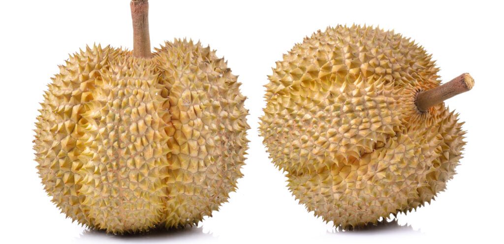 شكل غريب