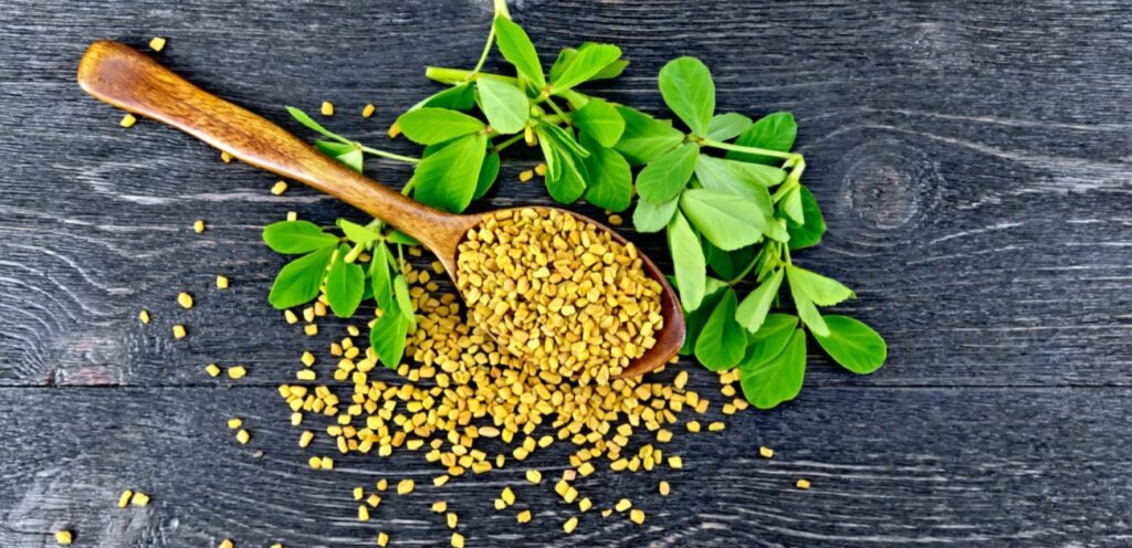 طريقة استخدام الحلبة المطحونة لإنقاص الوزن وأهم الوصفات الصحية