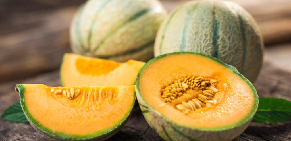 ما هي أنواع الشمام؟ فاكهة صيفية لذيذة ذات أصناف عديدة