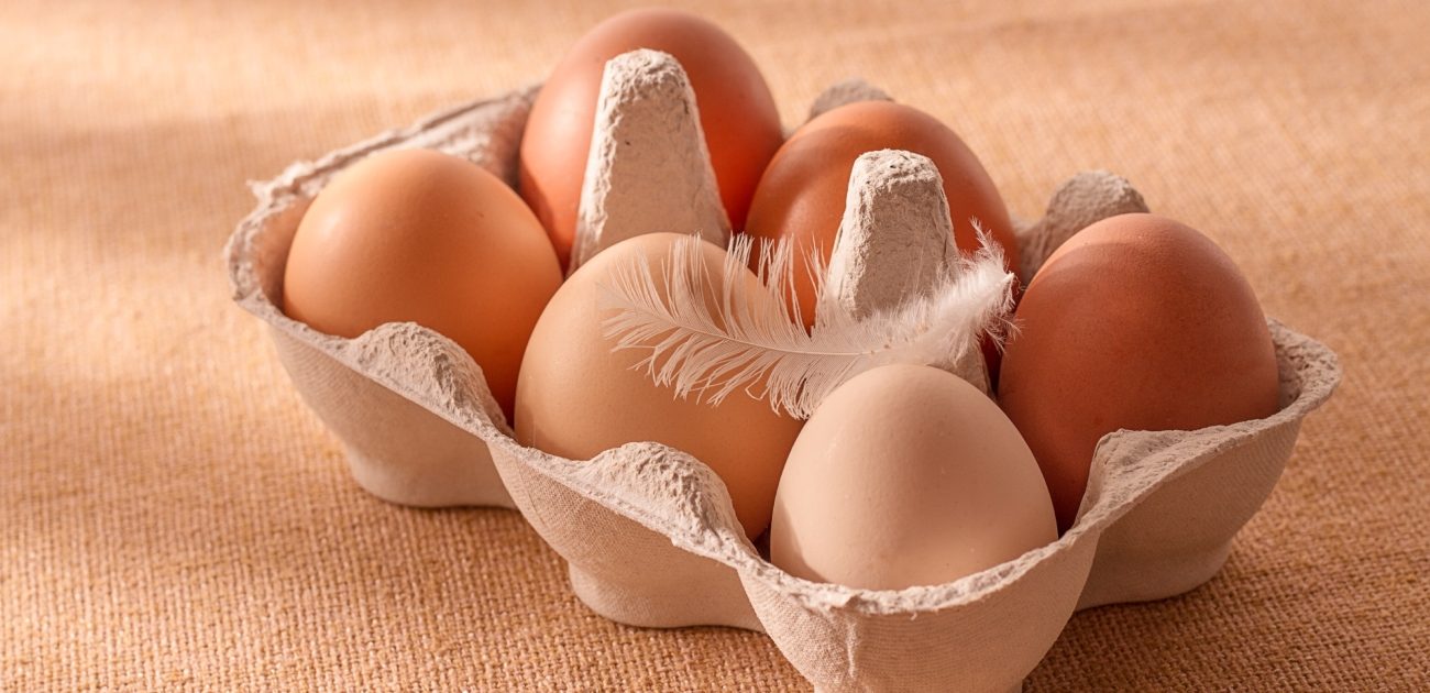 5 خرافات وحفائق عن البيض لا بد لكم من معرفتها!